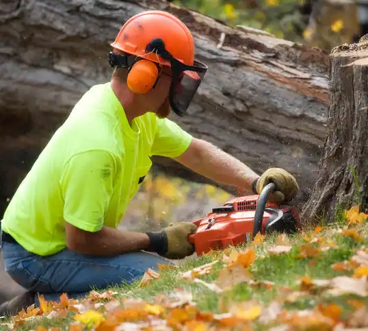 tree services Winfield